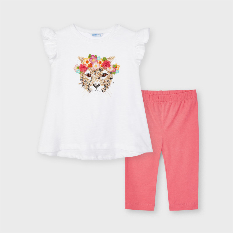 CONJUNTO